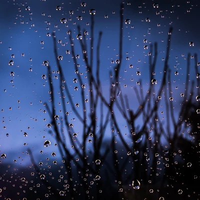 Musica relajante con sonidos de la naturalezaMasaje Relajante MastersSonidos de lluvia para dormirSonidos Pacíficos | Zen Spa