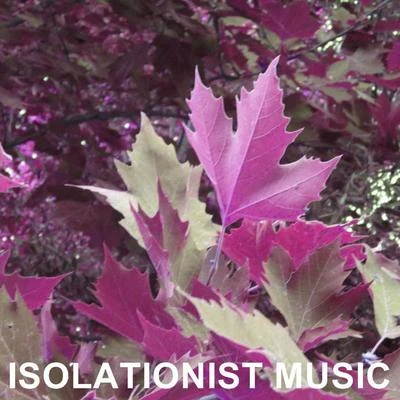 Robert WilliamsIsolationist Music