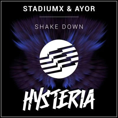 StadiumxShake Down