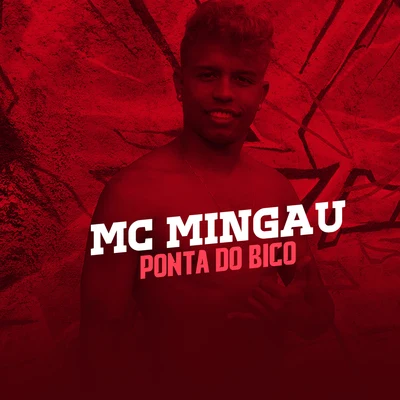 Dynho Alves/Mc MingauPonta do Bico