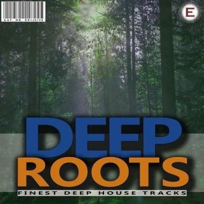 Dash GrooveDeep Roots