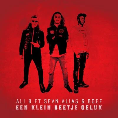 BoefEen Klein Beetje Geluk (feat. Boef & Sevn Alias)