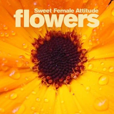 Sweet Female AttitudeFlowers