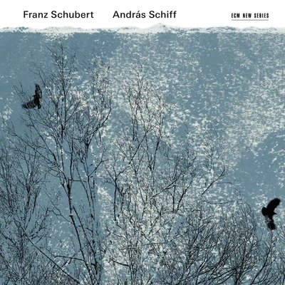 András SchiffFranz Schubert