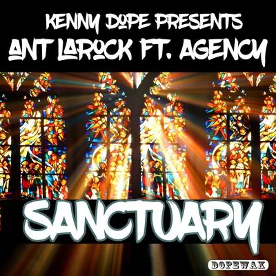 Ant LaRockSanctuary