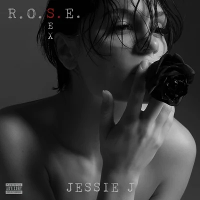 Jessie JBig SeanDizzee RascalR.O.S.E. (***)