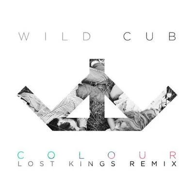 Wild CubColour (Lost Kings Remix)