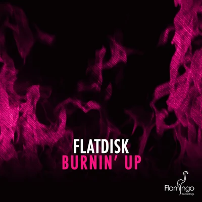 FlatdiskBurnin Up (Extended Mix)