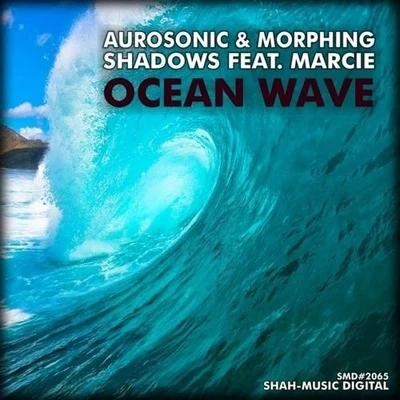 AurosonicNicol CacheOcean Wave