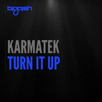 KarmatekTurn It Up