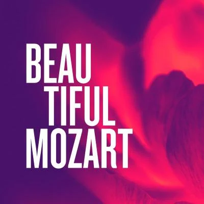 Ensemble Instrumental De FranceBeautiful Mozart