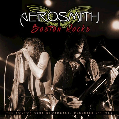 AerosmithBoston Rocks (Live)