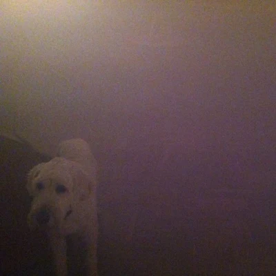 Oneohtrix Point NeverDog In The Fog: Replica Collaborations and Remixes