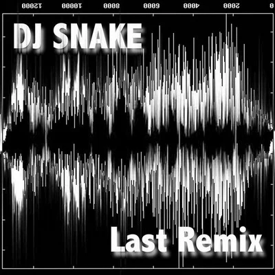 DJ Snake/Unregular/Chris Robleda/LauvLast Remix