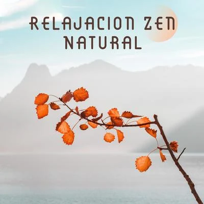 Relajacion ConjuntoRelajacion Zen Natural - Relajese con la Musica Ambient y los Sonidos de la Naturaleza Creados para la Meditacion, la Relajacion, el Spa y el Bienesta