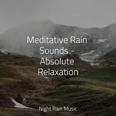 Ambient ArenaThe Sleep SpecialistMeditation Music ClubMeditative Rain Sounds - Absolute Relaxation