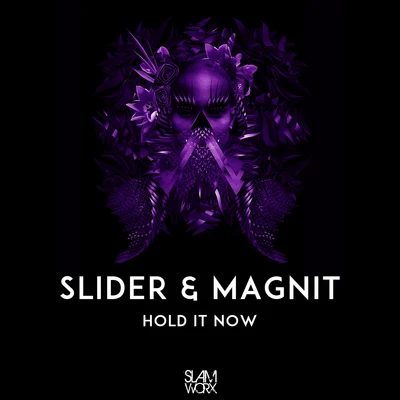 Slider & MagnitHold It Now