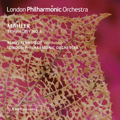 Thomas Elwin/David Temple/Gareth Brynmor John/London Philharmonic Orchestra/Feargal Mostyn-Williams/Kelley Hollis/Nick Palmer/Crouch End Festival ChorusMahler: Symphony No. 6