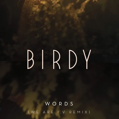 BIRDY/Jaymes YoungWords (We Are I.V Remix)