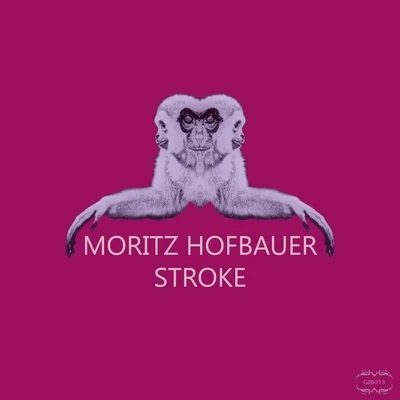 Moritz HofbauerStroke