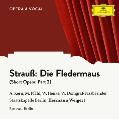 Waldemar Henke/Vera Schwarz/Lizzi Waldmüller/Maria Reining/Gustaf Gründgens/Hans Holt/Marcel Wittrisch/Richard Tauber/Unknown Artist/Kurt GerronStrauss: Die Fledermaus: Part 2