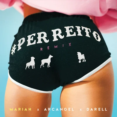 Mariah/Bad Gyal/Maria BecerraPerreito (Remix)