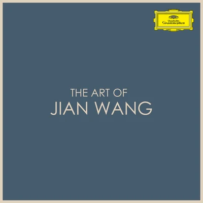 王健The Art of Jian Wang