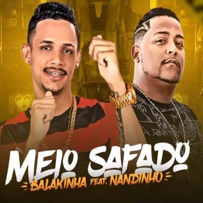 Mc NandinhoMeio Safado