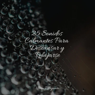 Música para Dormir Con Relajantes Sonidos de la Naturaleza/Lluvia PQ/Musica Para Dormir25 Sonidos Calmantes Para Descansar y Relajarse