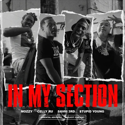 Celly Ru/Rob WoodsIn My Section (feat. Saviii 3rd & $tupid Young)