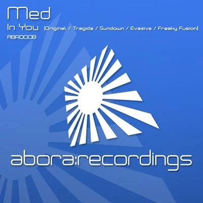 MED/DAWN/Audien/Pamuya/Stuart Millar/Ange/Miikka Leinonen/UDM/Ronski Speed/Rory GallagherIn You