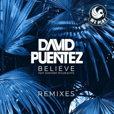 David Puentez/Albert NeveBelieve (Remixes)