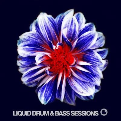 Anthony KasperLiquid Drum & Bass Sessions 2019 Vol 6