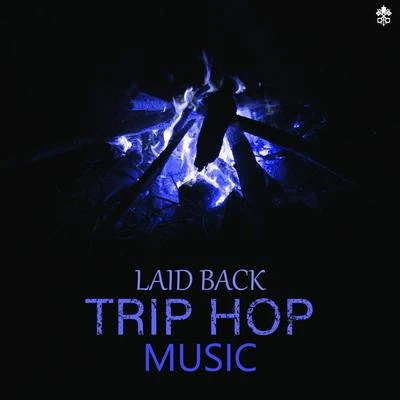 Control LightLaid Back Trip Hop Music