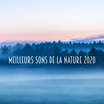 Zone de DétenteMeilleurs Sons de la Nature 2020