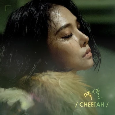 cheetahTruedy비틀비틀