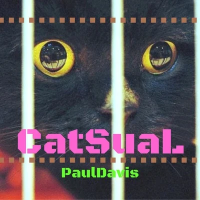 Paul DavisCatSual