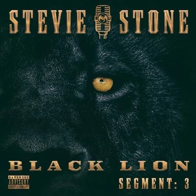 Stevie StoneBlack Lion Segment: 3