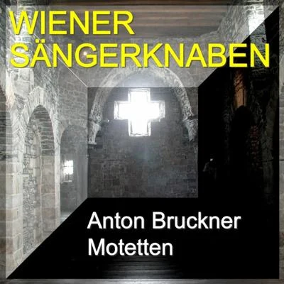 Chorus ViennensisAnton Bruckner Motetten