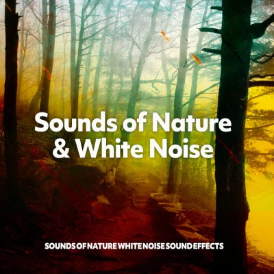 Sounds of Nature White Noise Sound EffectsBest Kids SongsBaby Sleep MusicSounds of Nature & White Noise