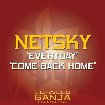 NetskyEverydayCome Back Home