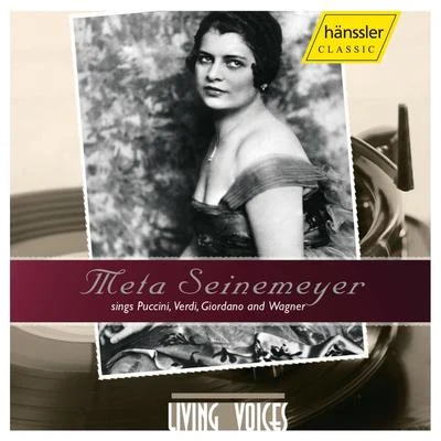 Meta Seinemeyer/Margarete Teschemacher/Hans Hopf/Ivar Andresen/Tino Pattiera/Kurt Böhme/Georg Hann/Josef Greindl/Josef Herrmann/Michael BohnenSEINEMEYER, Meta: Opera Arias and Duets by Puccini, Verdi, Giordano and Wagner