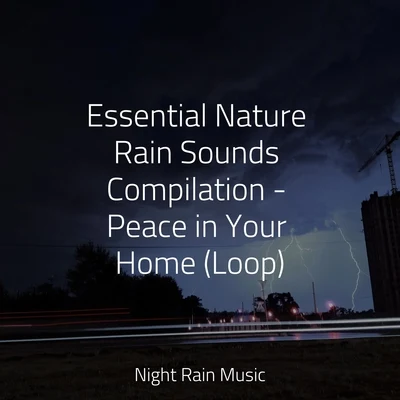 Bedtime Baby/Shakuhachi Sakano/Baby Sleep MusicEssential Nature Rain Sounds Compilation - Peace in Your Home (Loop)