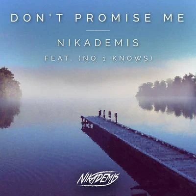 NikademisDont Promise Me (feat. No 1 Knows)