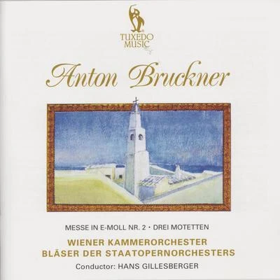 Anton BrucknerBruckner: Mass in E Minor, No. 2 & Three Mottets