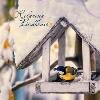 Rest & Relax Nature Sounds ArtistsRelaxing Birdhouse: Relax & Rest, Bird Songs, Nature Melodies, Calm Down