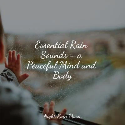 Meditation Relaxation Club/Meditation Music Experience/Rain Sounds/Nature Sounds/Spa & SpaEssential Rain Sounds - a Peaceful Mind and Body