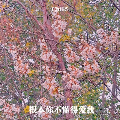 Easy7/Chill5根本你不懂得愛我