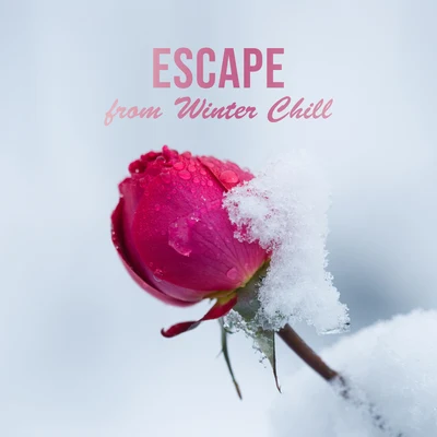 Sunny Music ZoneEscape from Winter Chill