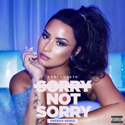 Demi Lovato/Royal & The SerpentSorry Not Sorry (Freedo Remix)